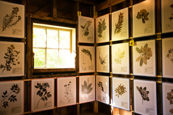 Beatrix Farrand Society Annual Family/Household Membership