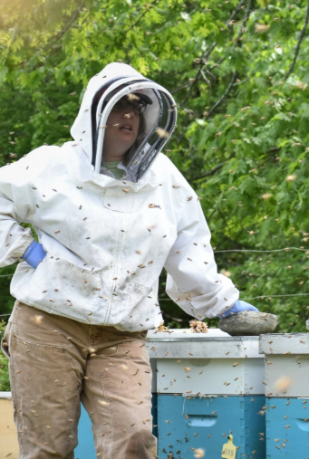 "What’s the Buzz on Bees?" with Jennifer Lund